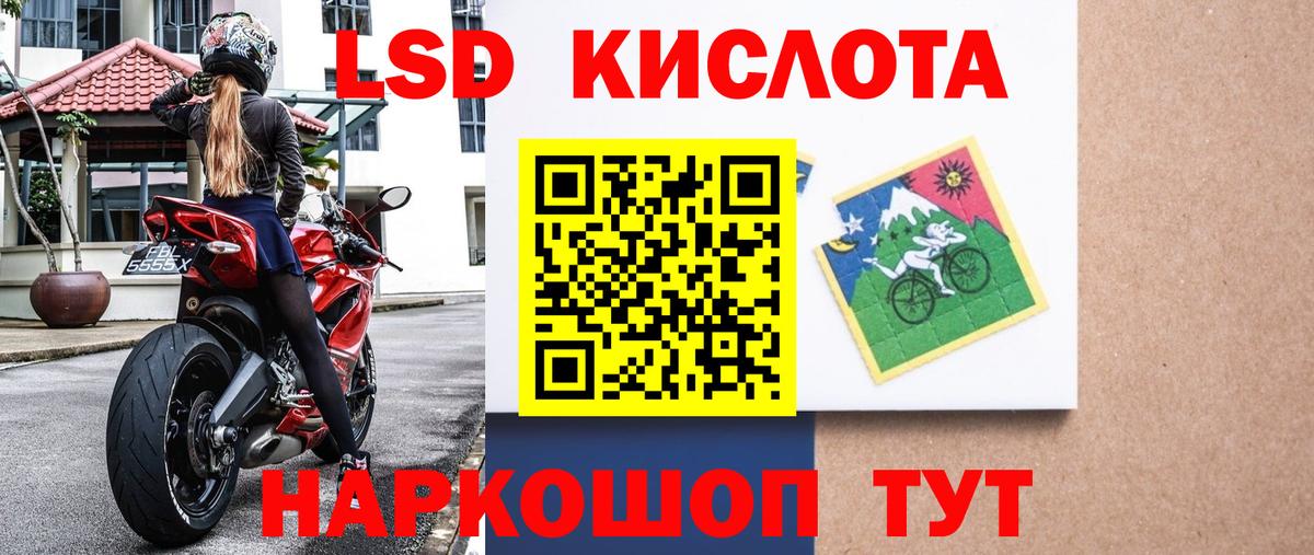 Наркотические марки 1,5мг  Вход с VPN  Гатчина 