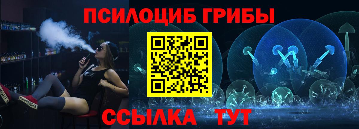 Галлюциногенные грибы Magic Shrooms  Галлюциногенные грибы GOLDEN TEACHER  Вход с VPN  Гатчина 